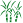 Sugar Cane